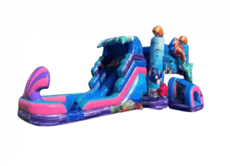 Mermaid Combo wet/dry with dual lane slides