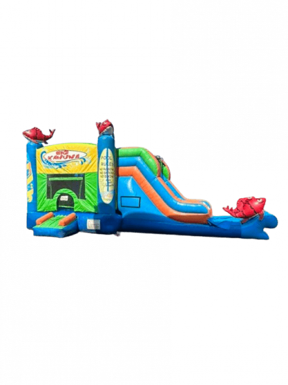 Slides & Combos Shepherds Inflatables Des Moines IA