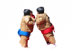 Sumo